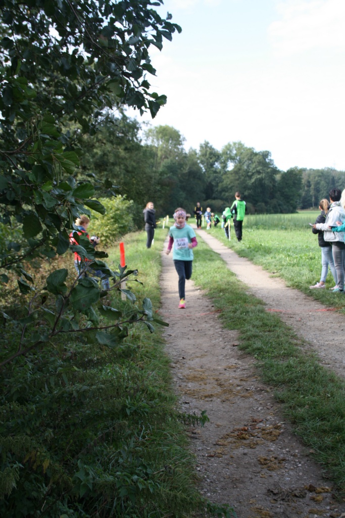 Bild 1 (43)